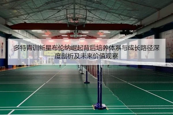 多特青训新星布伦纳崛起背后培养体系与成长路径深度剖析及未来价值观察